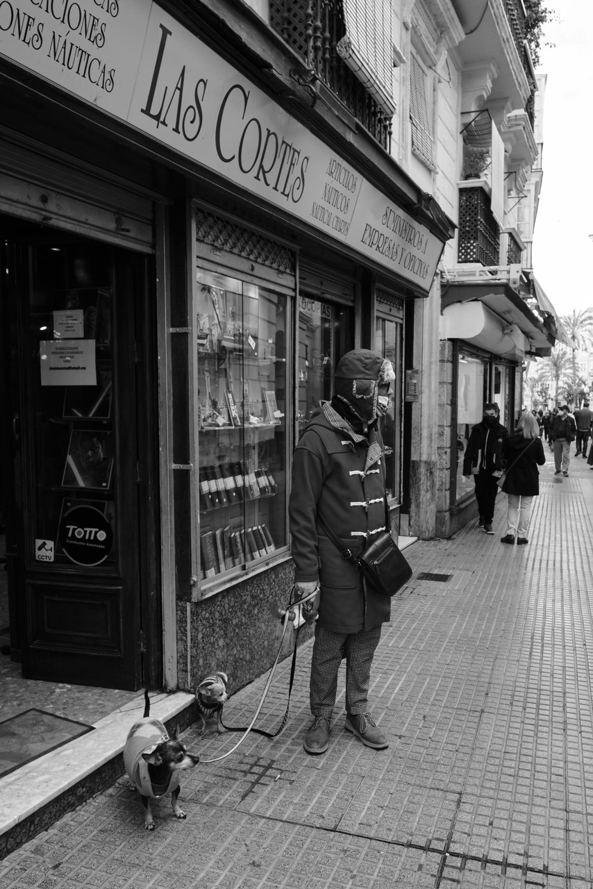 Recien llegado de la Antártida a Cádiz