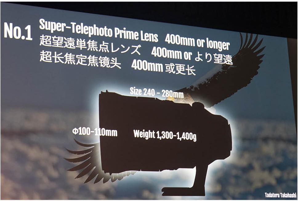 Super-Telephoto-400mm-or-longer.jpg