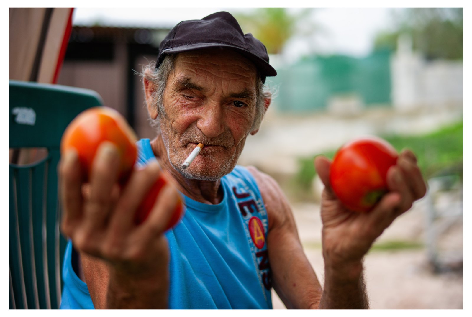 tony tomates m9 50 1.2.jpg