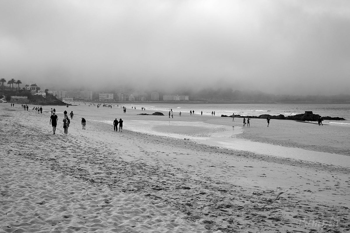 Niebla en la playa