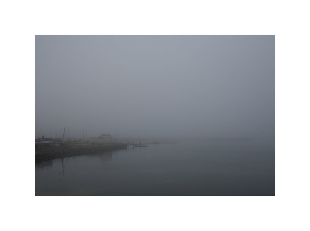 Questa nebbia che copre la città quasi fosse una malattia(esta niebla cubre la ciudad casi como seria una enfermedad) P.Bertoli