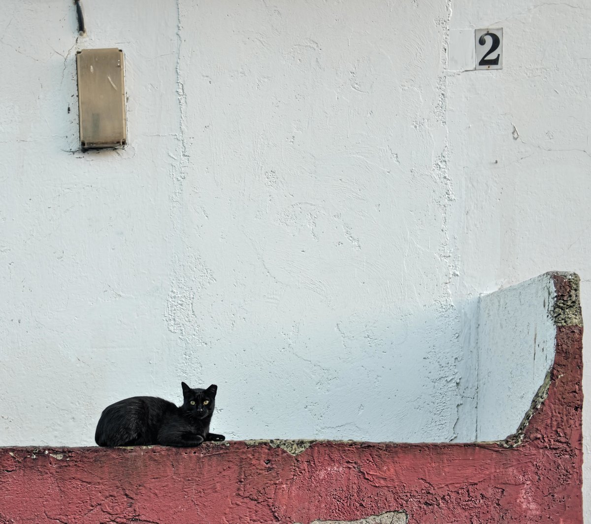 Estaba el señor don gato...