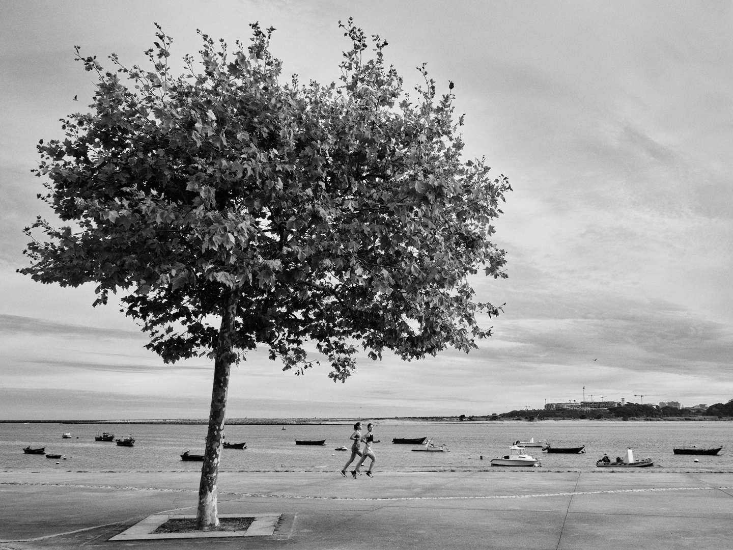 XE051816-1-sharpened.jpg