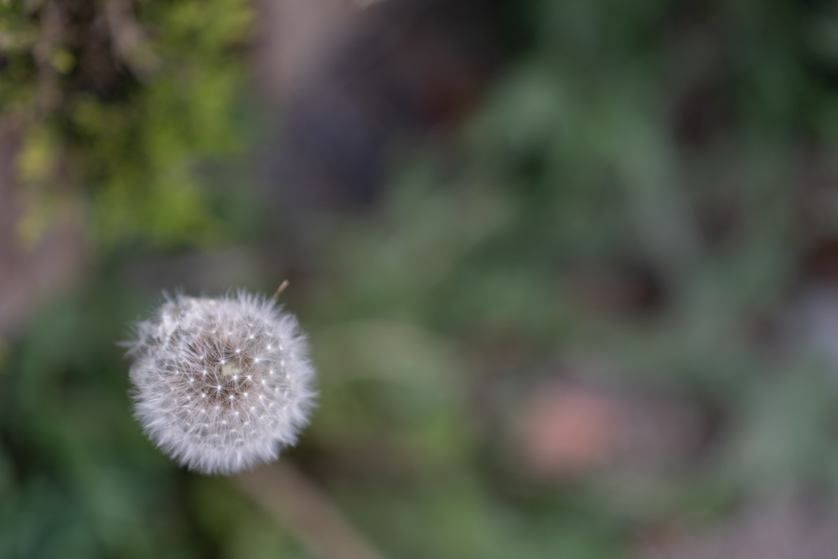 XT304061.jpg