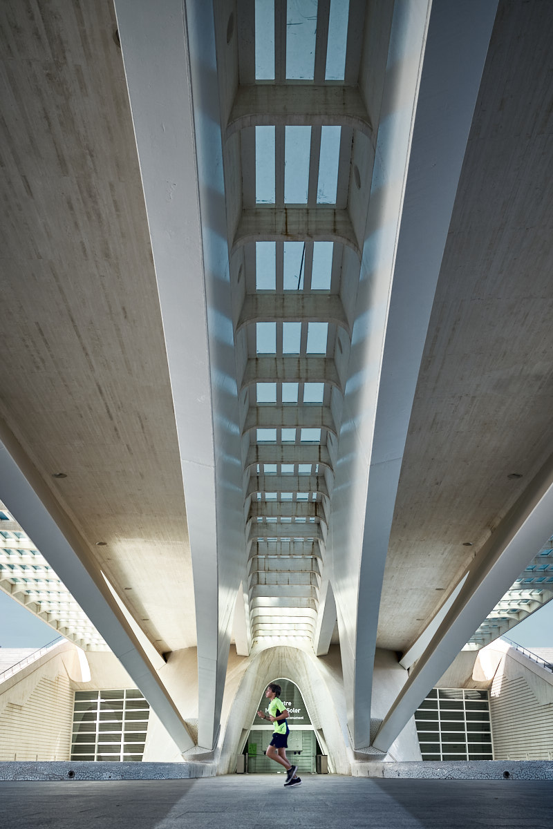 Ciudad de las Artes y las Ciencias II