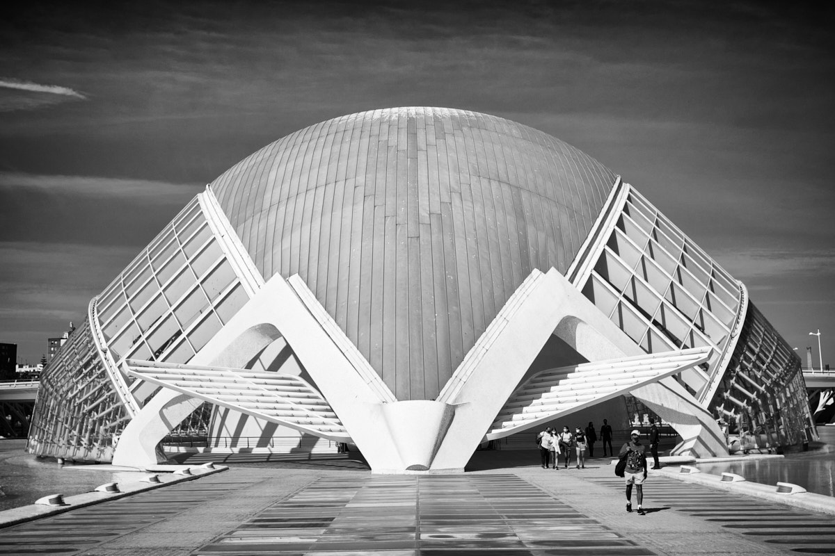 Ciudad de las Artes y las Ciencias VI