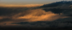 DSCF8453-3.jpg