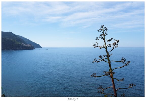 Corniglia_02.jpg