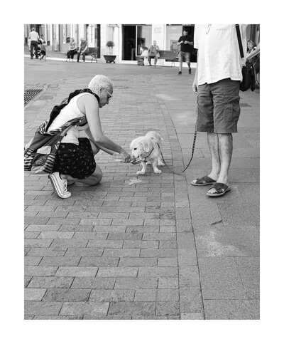 fotografo-la-palma-callejeando-personas-perro-agua-correa-blanco-negro.JPG