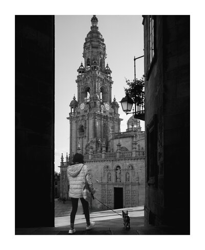 fotografo-españa-santiago-de-compostela-chica-perro-catedral-plaza-quintana-de-mortos-blanco-n...JPG