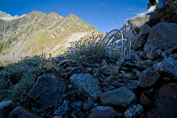 _DSF0049.jpg