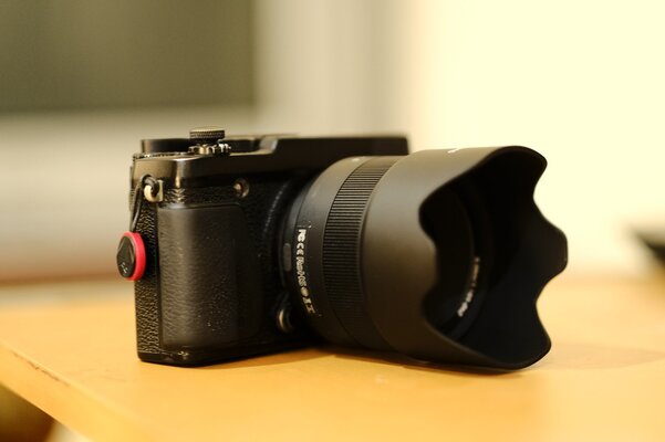_DSF5809.JPG