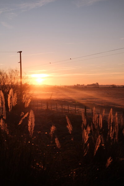 DSCF3255.JPG