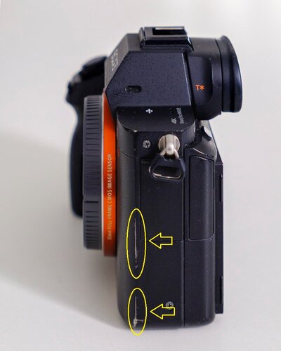 Sony_A7RII_07.jpg