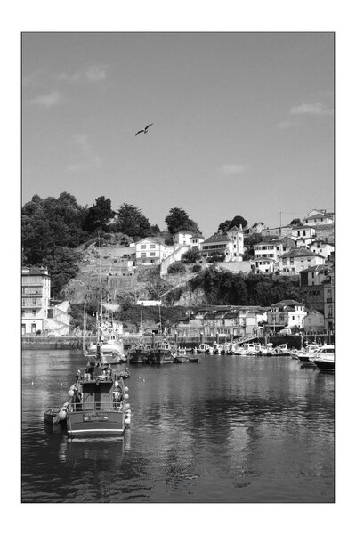 IMG_2861.jpeg