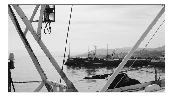 IMG_2872.jpeg