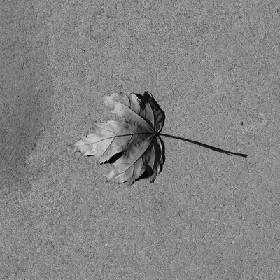 reto52semana41.jpg