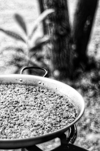 semana 42_DSCF8475.jpg