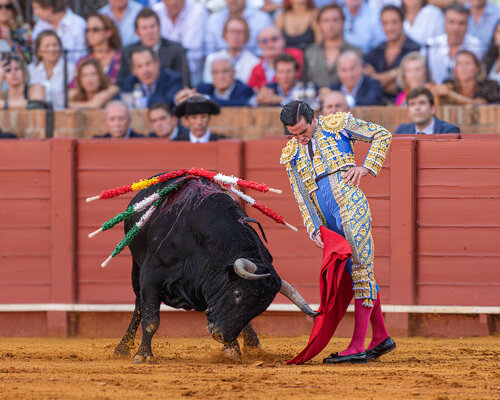 20250926@185020_430TOROS  DE VICTORIANO DEL RIO EN LA MAESTRANZA -   JUAN ORTEGA TORO EBANISTA...jpg