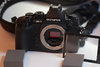DSCF7867-2.jpg