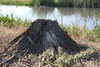 DSCF6646.jpg