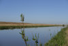 DSCF6651.jpg