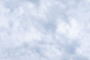 f11_fuji.jpg