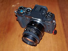 _DSF8335 f_cr.jpg