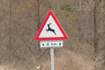 DSCF3303 1.jpg