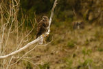 DSCF3269 1.jpg