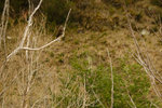 DSCF3269 2.jpg
