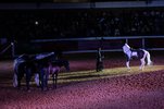 210821 caballos Paco Martos en Vva de Córdoba - ES  217.JPG