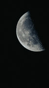 IMG_4029.JPG