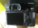 IMG_20220423_113927.jpg