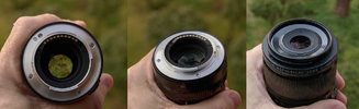 MACRO_02.jpg