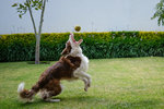 DSCF0434.jpg