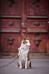 DSCF5914.jpg