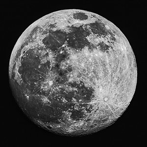 Luna-Mak127.jpeg