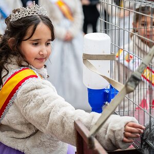 recogida de la gallina 16 enero 2025-170.jpg