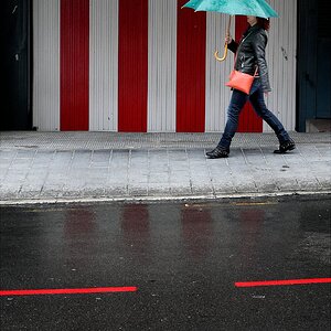 Lluvia y rojos..jpg