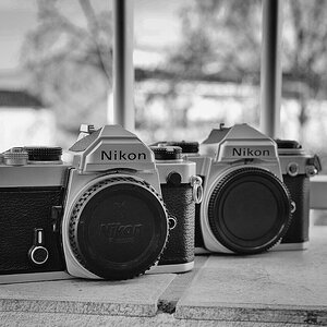 2 Nikon.jpg