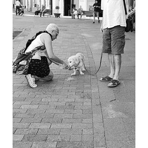 fotografo-la-palma-callejeando-personas-perro-agua-correa-blanco-negro.JPG