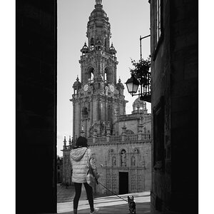 fotografo-españa-santiago-de-compostela-chica-perro-catedral-plaza-quintana-de-mortos-blanco-n...JPG