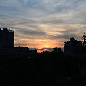 Z07_0080-sharpened.jpg