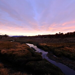 DSCF0736.JPG