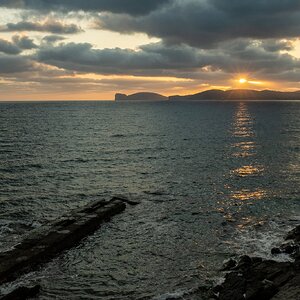 DSCF2458-2.jpg