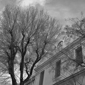DSCF9651.JPG