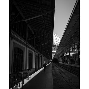 IMG_2352.jpeg