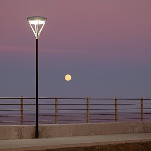 DSCF0414.JPG