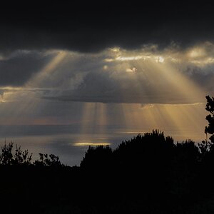 Nikon 55mm f3_5-4.jpg